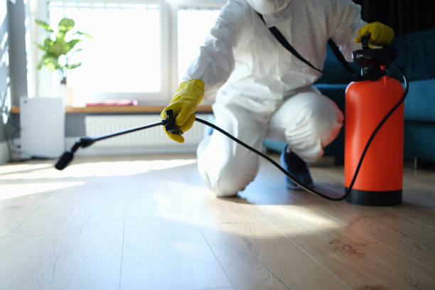 Reliable Odor Removal contractor in Columbia, NJ by Trauma Clean Pros